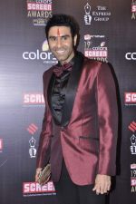 Sandip Soparkar at Screen Awards red carpet in Mumbai on 12th Jan 2013 (48).JPG